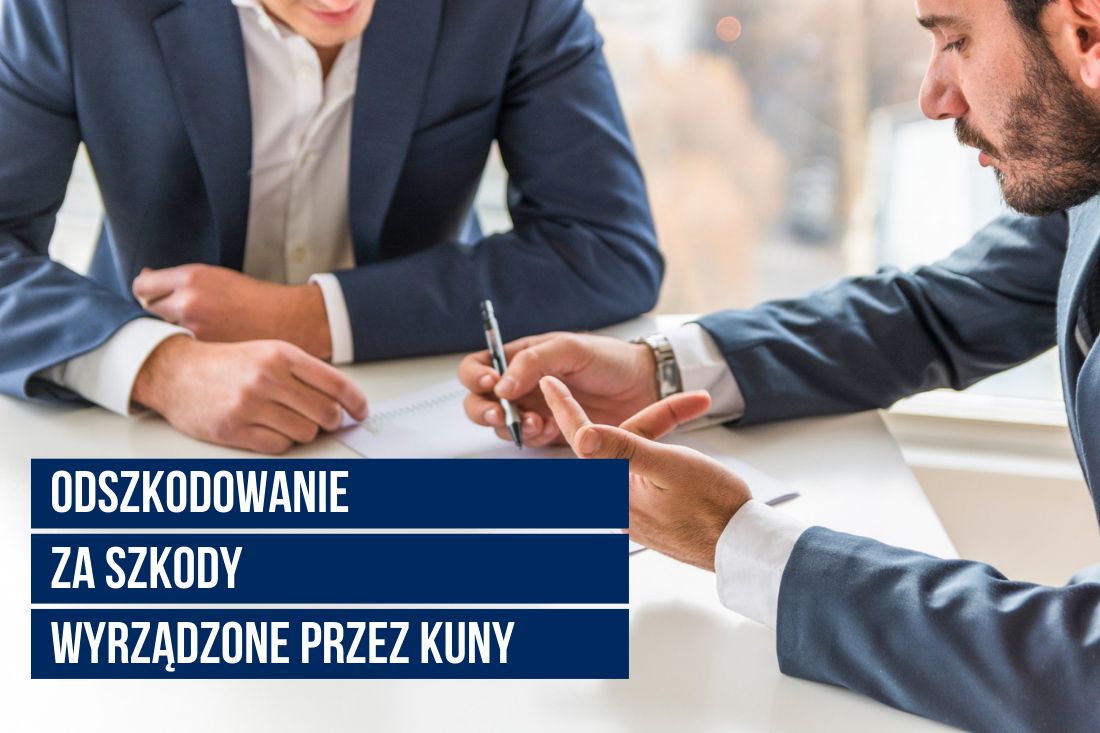 Odszkodowanie za szkody wyrządzone przez kuny